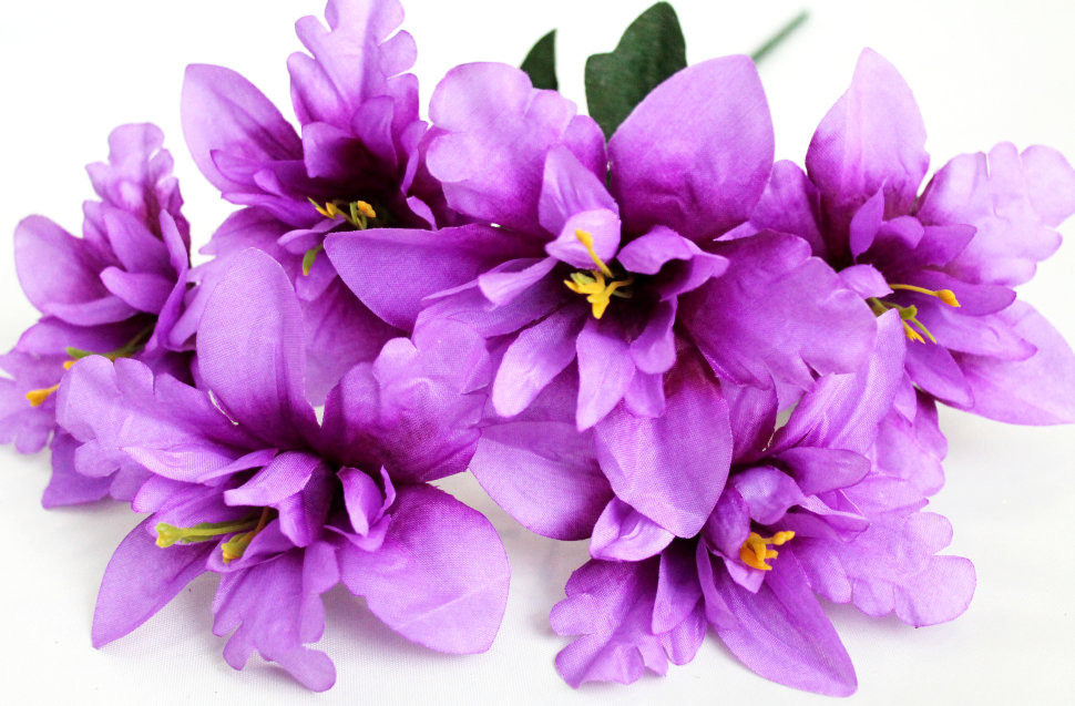 Б11279 Б/С Бук.орхидеи