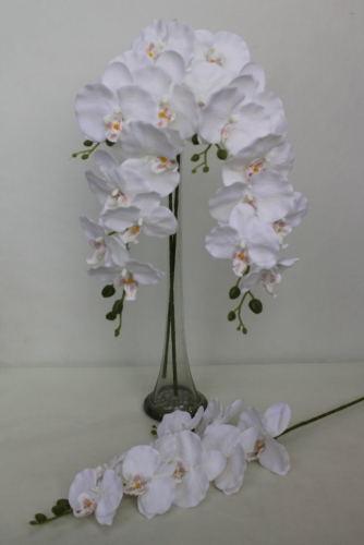 В9309 Б/С Вет.орхидеи барх.