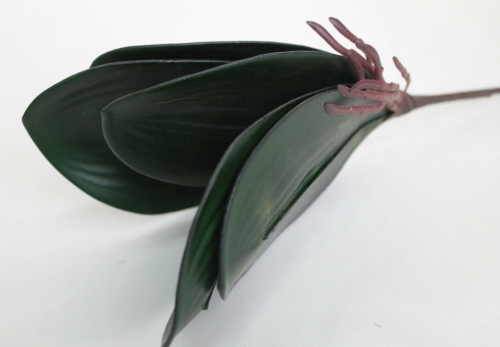 55руб 85  Д9569 Б/С Корешки орхидей Н26см(20шт)