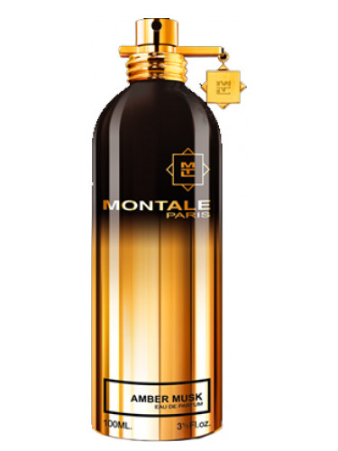 MONTALE Amber Musk 100ml edp NEW