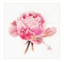 Акварельные розы. Розовая изысканная  26х24 см