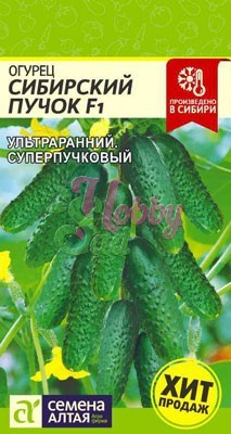 Огурец Сибирский Пучок F1 (5 шт) Семена Алтая