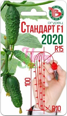 Огурец Стандарт F1 2020 ( Урожай до небес) (8 шт) Биотехника