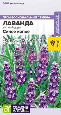 Цветы Лаванда Синее копье узколистная (5 шт) Семена Алтая