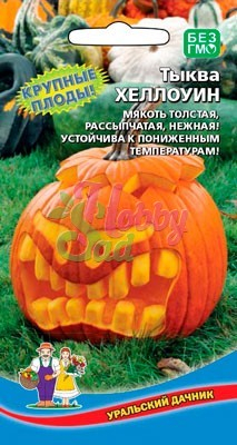 Тыква Хеллоуин (5 шт) Уральский Дачник