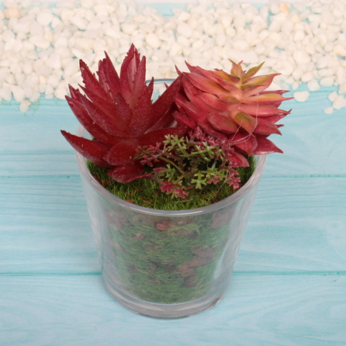 Цветок искусственный Суккулент 6*10см в стеклянном горшке ZPY-36