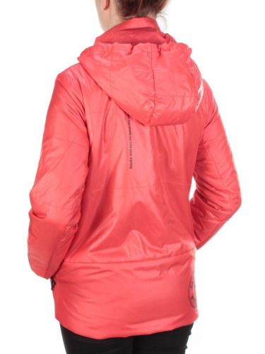 006 RED Куртка демисезонная женская (100 гр. синтепон) размер M(44) - 50 российский