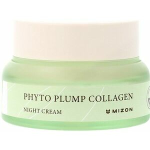 Ночной крем для лица с фитоколлагеном MIZON PHYTO PLUMP COLLAGEN DAY CREAM 50мл