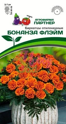 Цветы Бархатцы Бонанза Флейм отклоненные (10 шт) Партнер