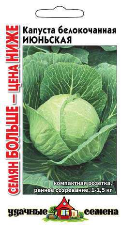 Капуста Июньская 0,3 г ц/п Гавриш Уд.с (семян больше) (ранняя)