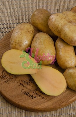 Картофель семенной Колетте среднеранний (Элита) (сетка 2 кг/шт) Седек