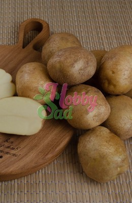 Картофель семенной Лидер среднеранний (Элита) (сетка 2 кг/шт) Седек
