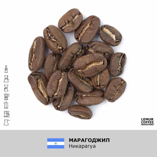 Марагоджип Никарагуа  - Хит