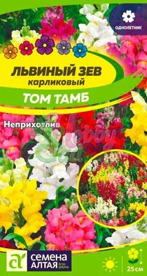 Цветы Львиный зев Том Тамб карликовый (0,1 г) Семена Алтая