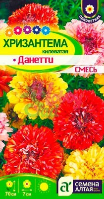 Цветы Хризантема Данетти килеватая (0,3 г) Семена Алтая