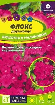 Цветы Флокс Красотка в Малиновом друммонда (0,1 г) Семена Алтая
