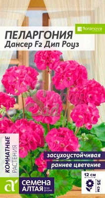 Цветы Пеларгония Дансер Дип Роуз зональная (4 шт) Семена Алтая Комнатные