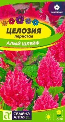 Цветы Целозия Алый шлейф (0,2 г) Семена Алтая