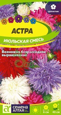 Цветы Астра Июльская смесь (0,2 гр) Семена Алтая