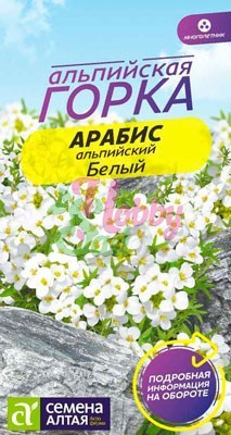 Цветы Арабис Белый Альпийский (0,1 г) серия Альпийская горка Семена Алтая