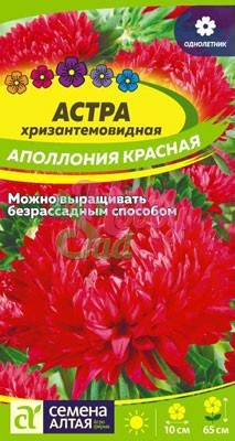 Цветы Астра Аполлония Красная хризантемовидная (0,2 гр) Семена Алтая