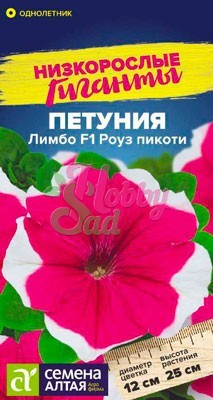Цветы Петуния Лимбо Роуз Пикоти F1 (10 шт) Семена Алтая Низкорослые гиганты