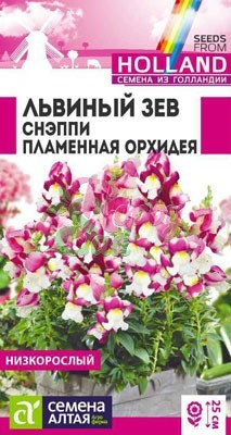 Цветы Львиный зев Снэппи Пламенная орхидея (10 шт) Семена Алтая