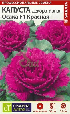 Цветы Капуста Осака красная декоративная (10 шт) Семена Алтая