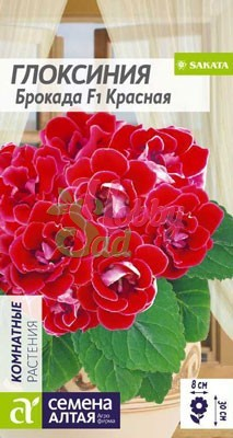 Цветы Глоксиния Брокада Красная F1 (8 шт) Семена Алтая Комнатные