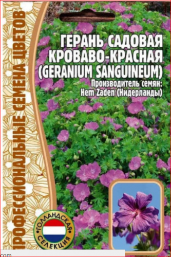 Семена Герань садовая ШАРОВИДНАЯ кроваво-красная (Geranium Sanguineum) ГЕРМАНИЯ