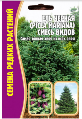 44 р.71 р. Семена Ель черная (Picea mariana) смесь видов 20 сем..