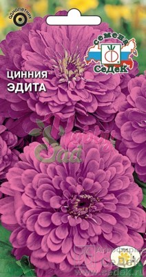 Цветы Цинния Эдита георгиновидная (0,5 г) Седек