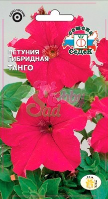 Цветы Петуния Танго F1 (10 шт) Седек