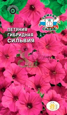 Цветы Петуния Сильвия F1 многоцветковая (10 шт) Седек