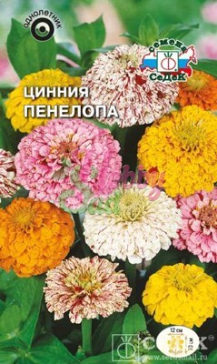 Цветы Цинния Пенелопа (0,2 г) Седек
