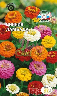 Цветы Цинния Ламбада (0,5 г) Седек