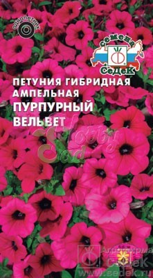 Цветы Петуния Пурпурный вельвет F1 (ампельная, сурфиния ) (10 шт) Седек