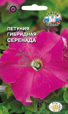 Цветы Петуния Серенада F1 крупноцветковая (10 шт) Седек