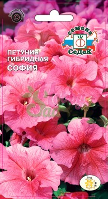 Цветы Петуния София F1 многоцветковая (10 шт) Седек