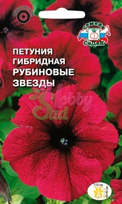 Цветы Петуния Рубиновые звезды F1 (10 шт) Седек