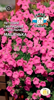 Цветы Петуния Машенька F1 ампельная (5 шт) Седек