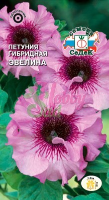 Цветы Петуния Эвелина F1 крупноцветковая (10 шт) Седек