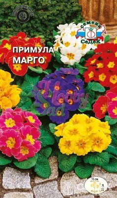 Цветы Примула Марго (многоцветковая смесь) (5 шт) Седек