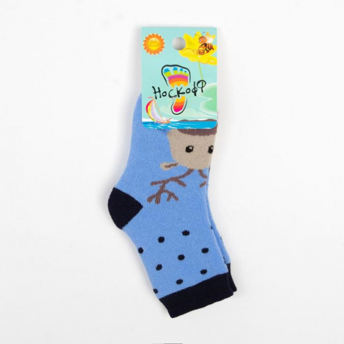 Носки детские махровые, цвет голубой, размер 14-16