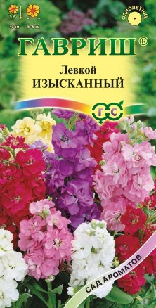 Цветы Левкой Изысканный, смесь 0,05 г ц/п Гавриш (однол.)