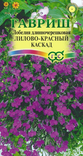 Цветы Лобелия амп. Лилово-Красный каскад 0,01 г ц/п Гавриш (однол.)