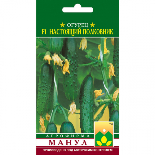 Огурец Настоящий полковник Манул Ц