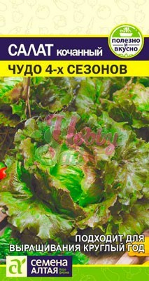 Салат Чудо 4 сезонов (0,5 гр) Семена Алтая