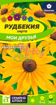 Цветы Рудбекия Мои Друзья (0,2 г) Семена Алтая