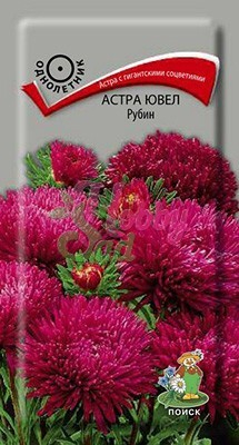 Цветы Астра Ювел Рубин (0,2 г) Поиск